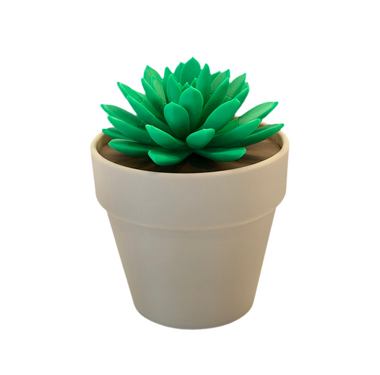 Push Pin Succulent Plant – 3D Printed Desktop Organizer & Gift