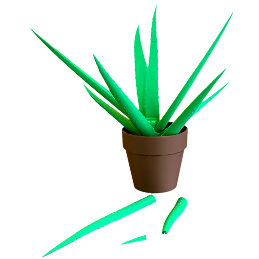Aloe Vera Pen Plant – Functional Desk Plant with Magnetic Hidden Pens