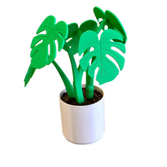 Monstera – Coaster Plant w/ Magnetic Leaves