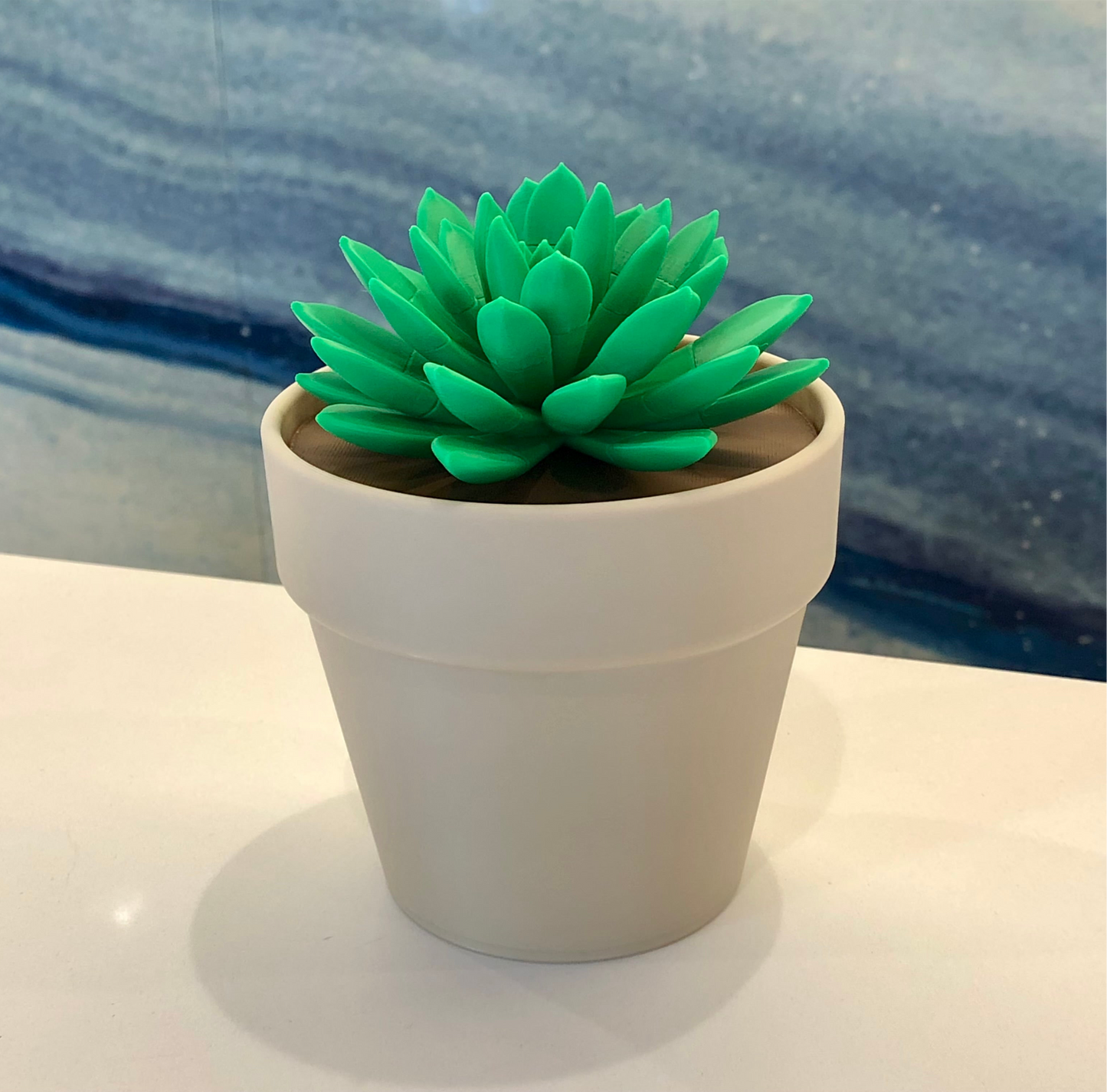 Push Pin Succulent Plant – 3D Printed Desktop Organizer & Gift