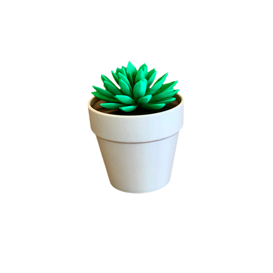 Push Pin Succulent Plant – 3D Printed Desktop Organizer & Gift