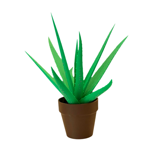 Aloe Vera Pen Plant – Functional Desk Plant with Magnetic Hidden Pens