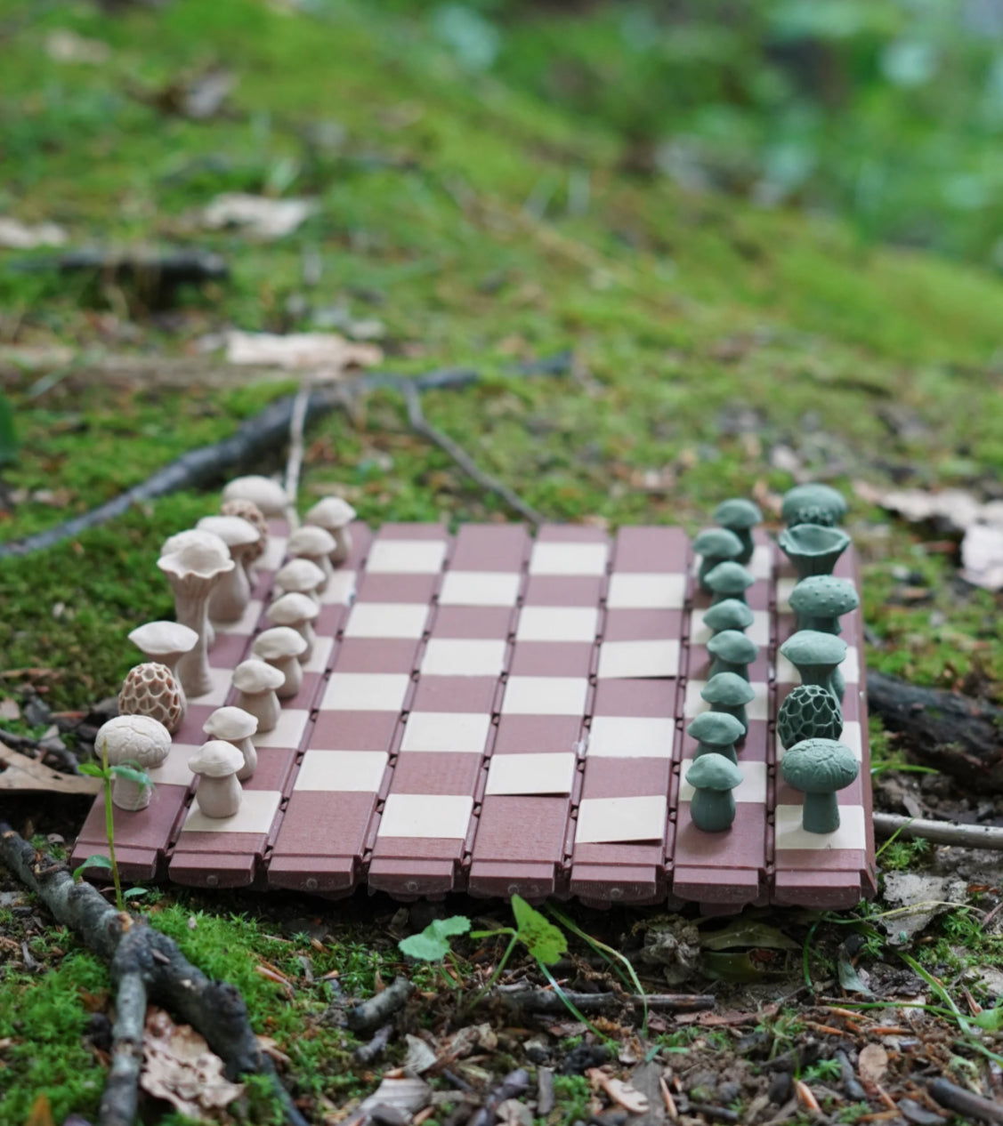 Forest Chess Set β Roll-up Mushroom Themed 3D-Printed Chess Board