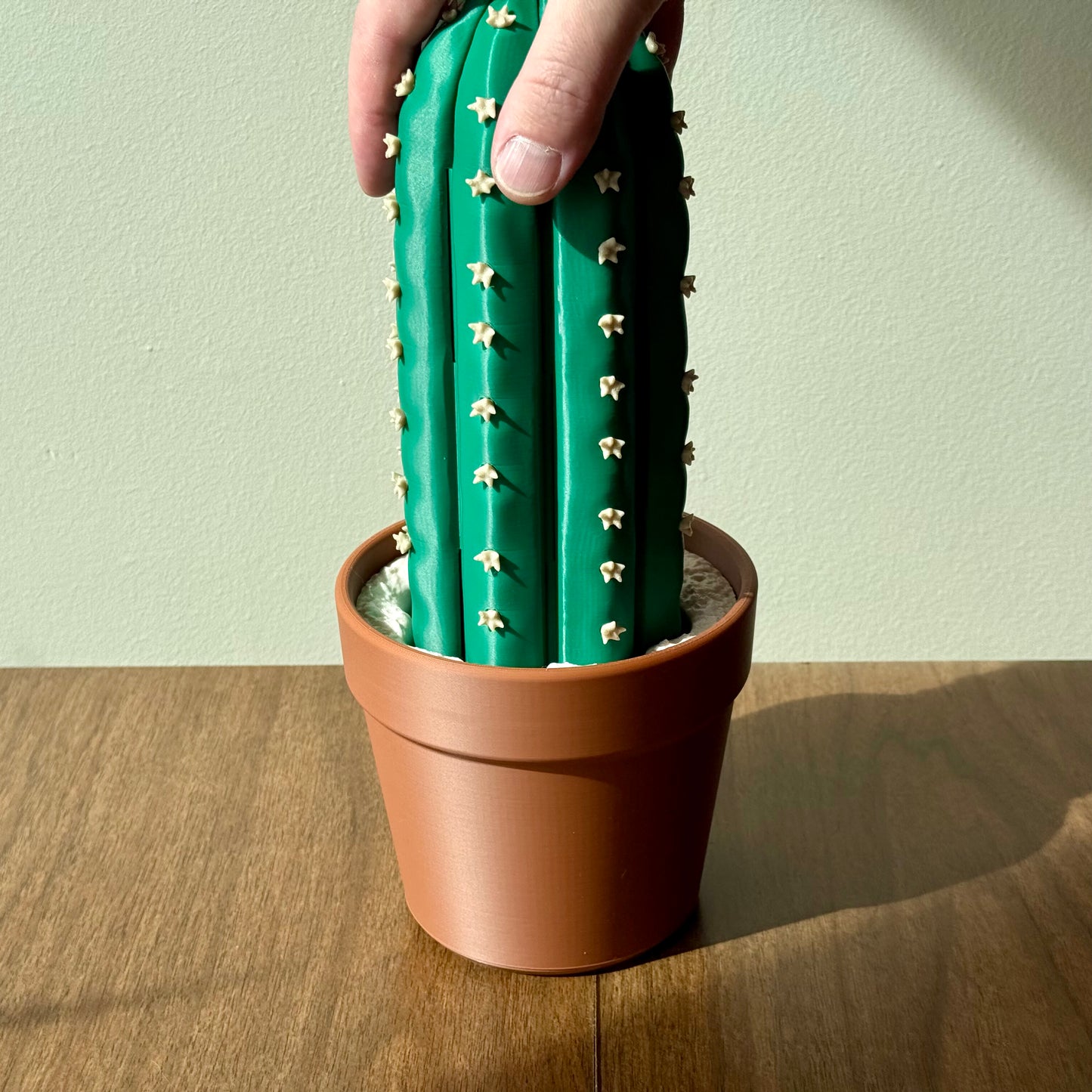 Cactus Chess Set – Roll-up Cactus Themed 3D-Printed Chess Board