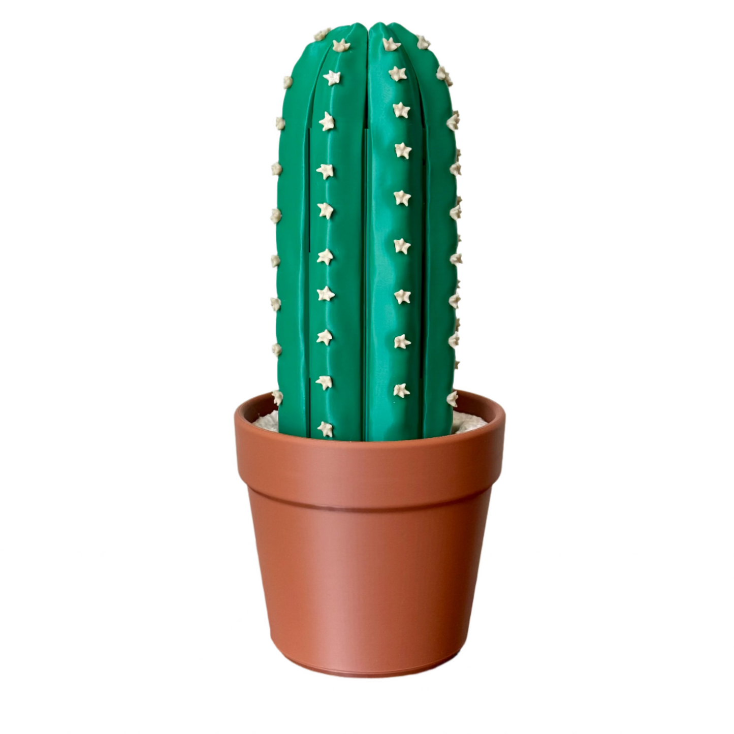 Cactus Chess Set – Roll-up Cactus Themed 3D-Printed Chess Board