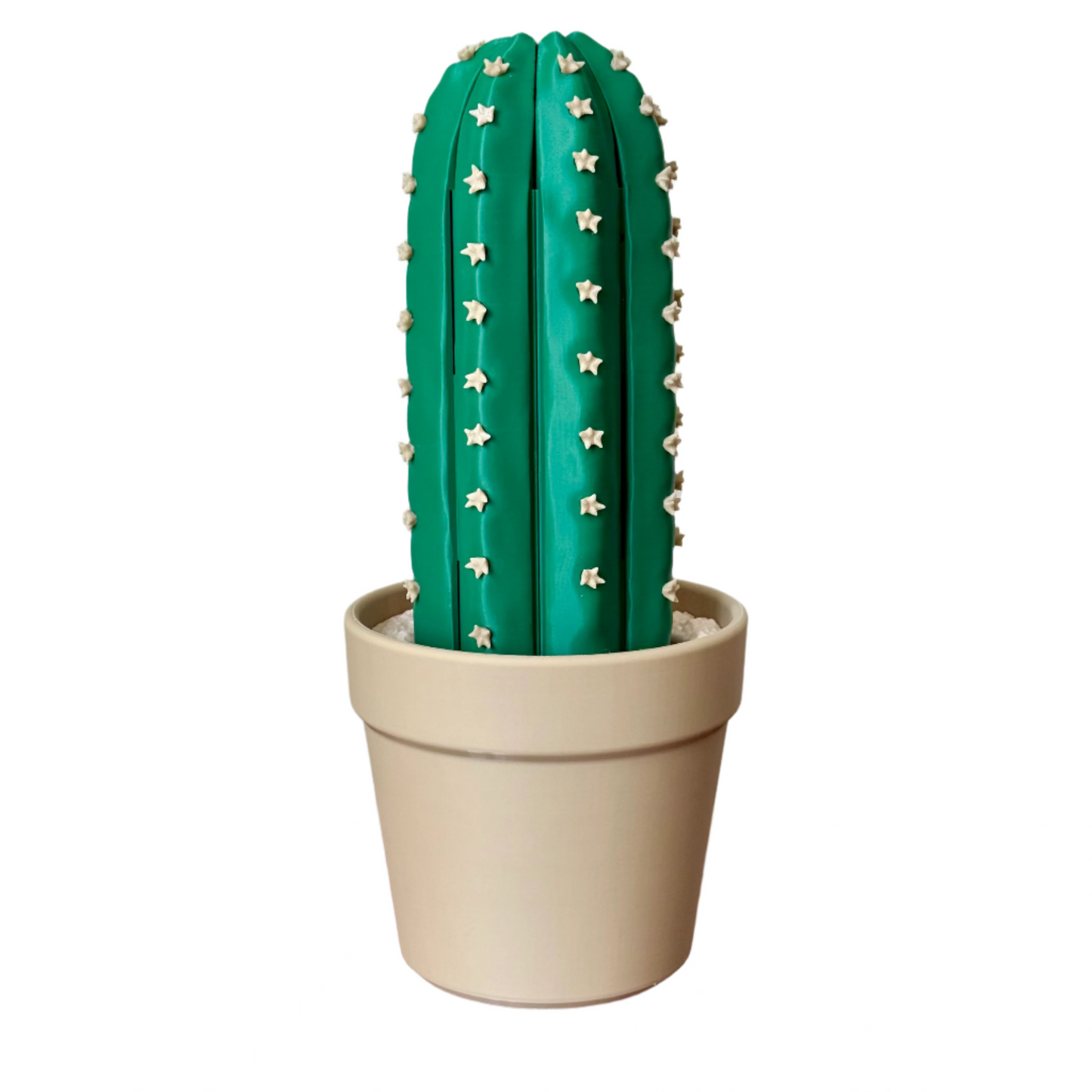 Cactus Chess Set – Roll-up Cactus Themed 3D-Printed Chess Board