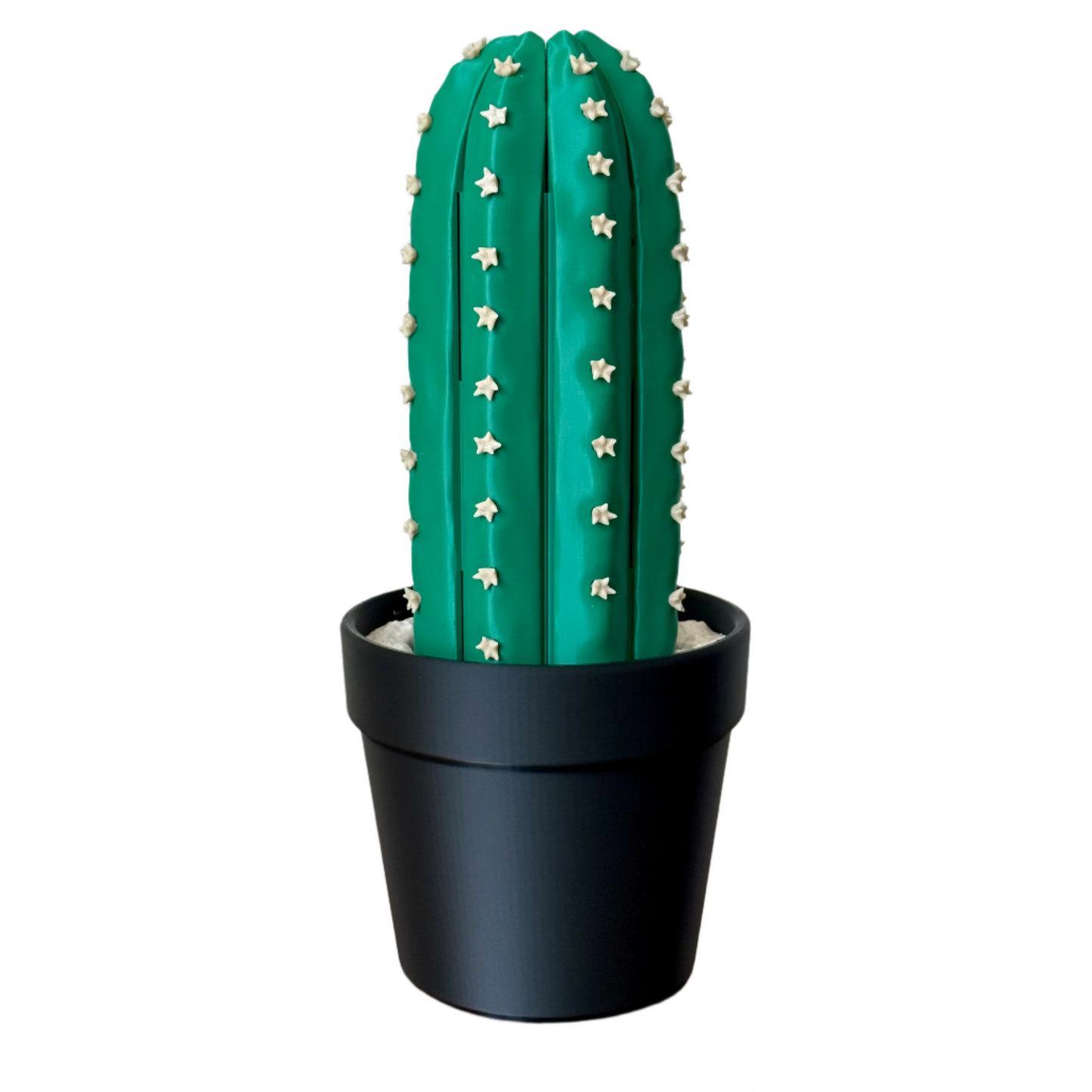 Cactus Chess Set – Roll-up Cactus Themed 3D-Printed Chess Board