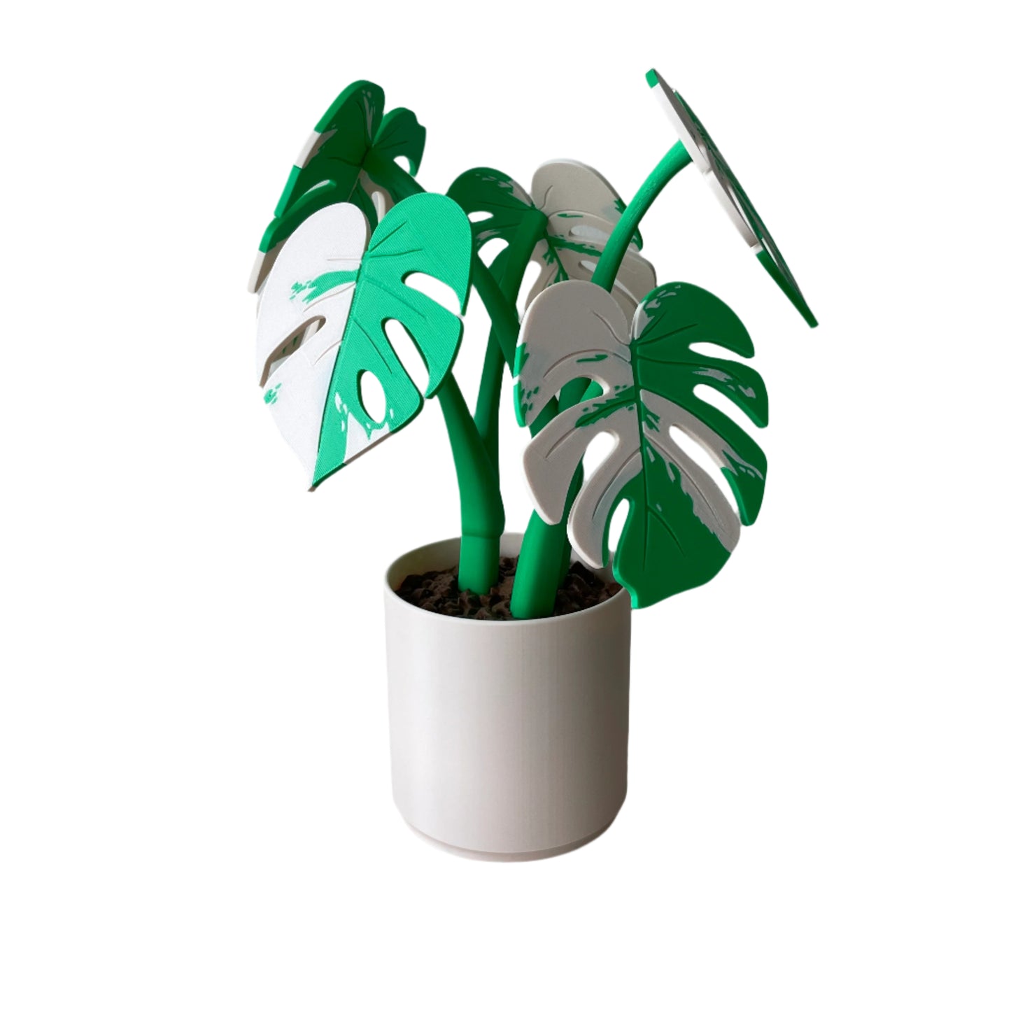 Monstera – Coaster Plant w/ Magnetic Leaves