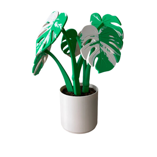 Monstera – Coaster Plant w/ Magnetic Leaves