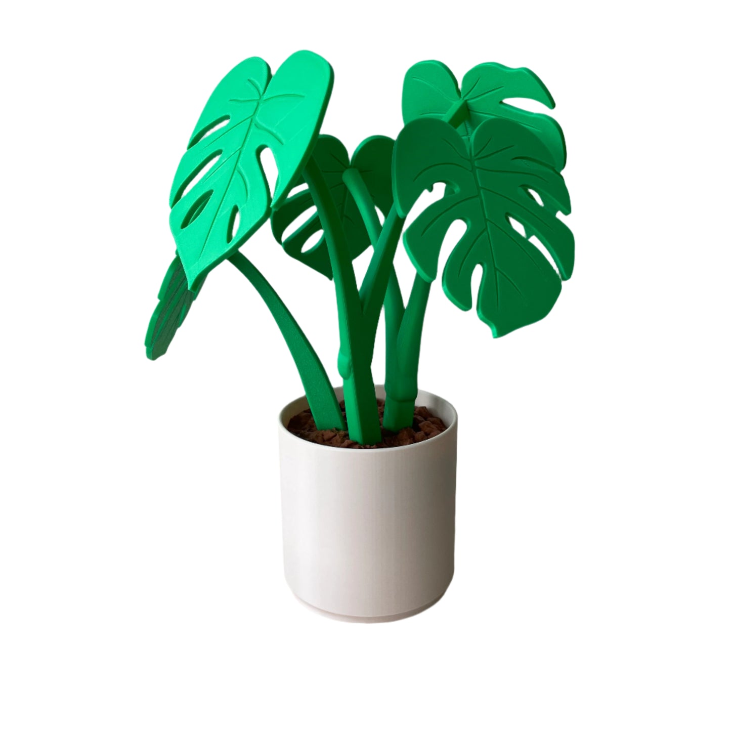 Monstera – Coaster Plant w/ Magnetic Leaves