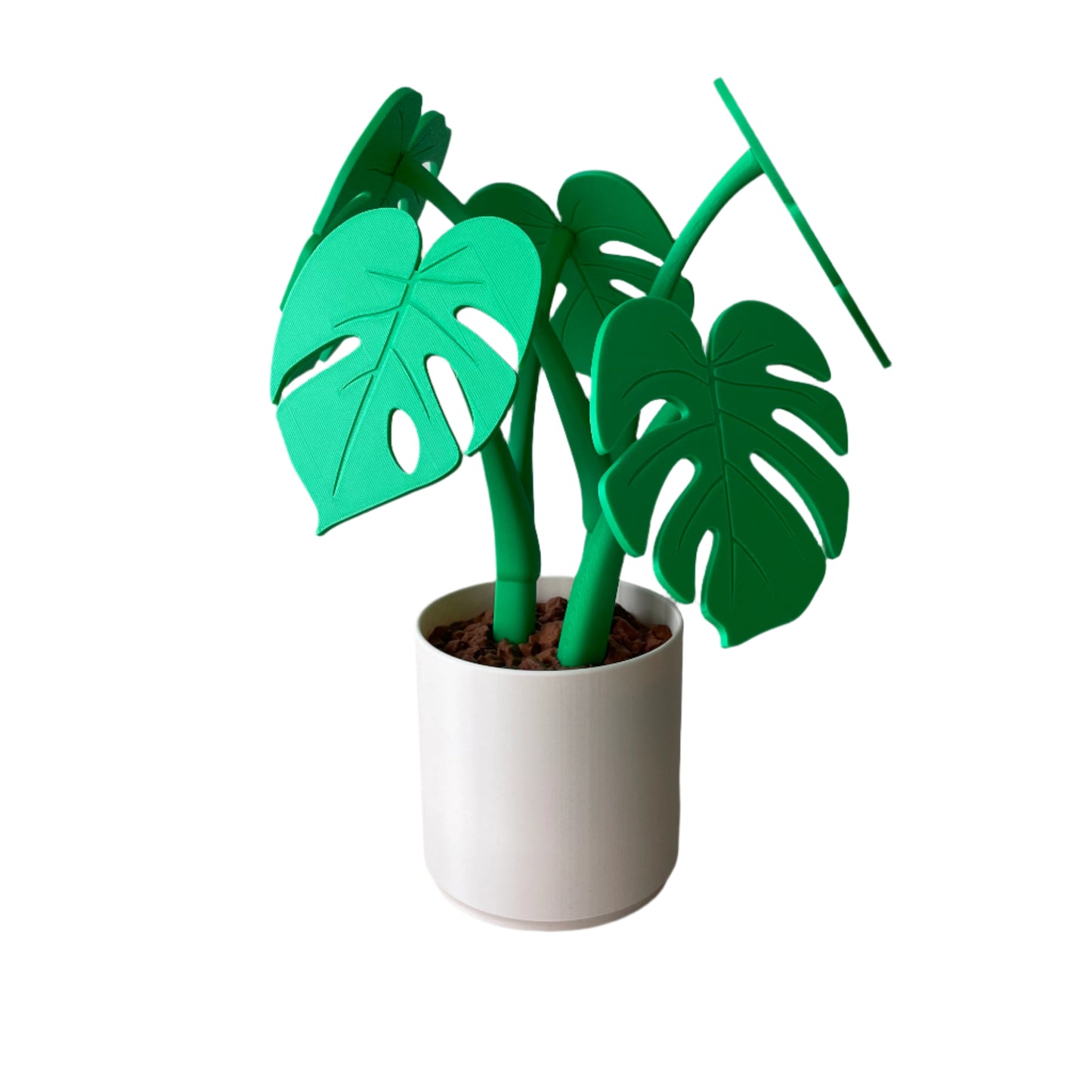 Monstera – Coaster Plant w/ Magnetic Leaves