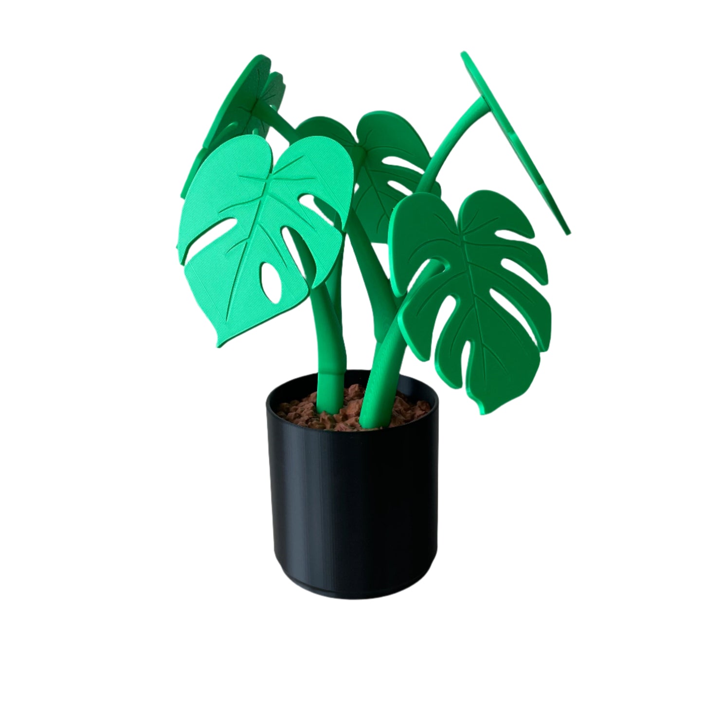 Monstera – Coaster Plant w/ Magnetic Leaves