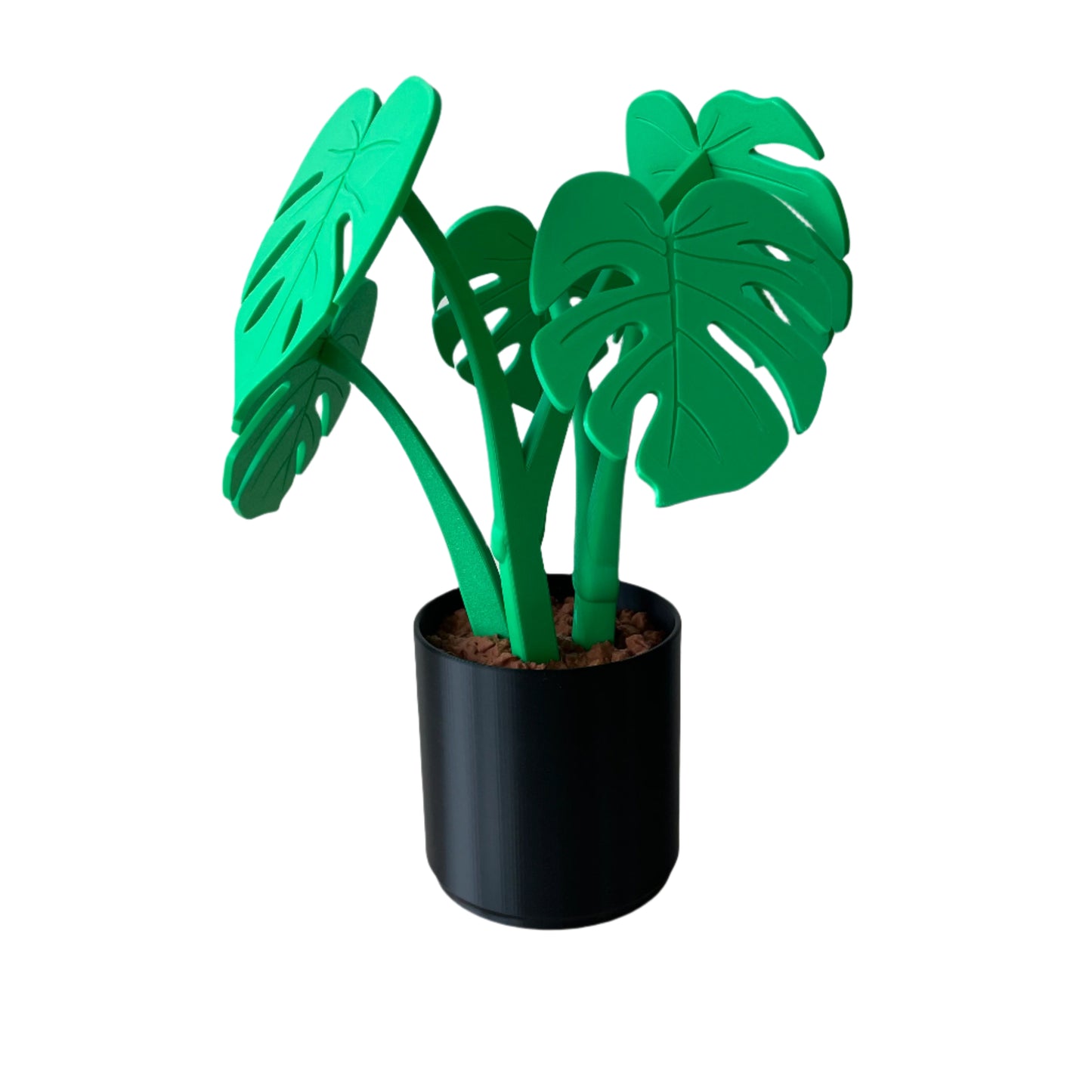 Monstera – Coaster Plant w/ Magnetic Leaves