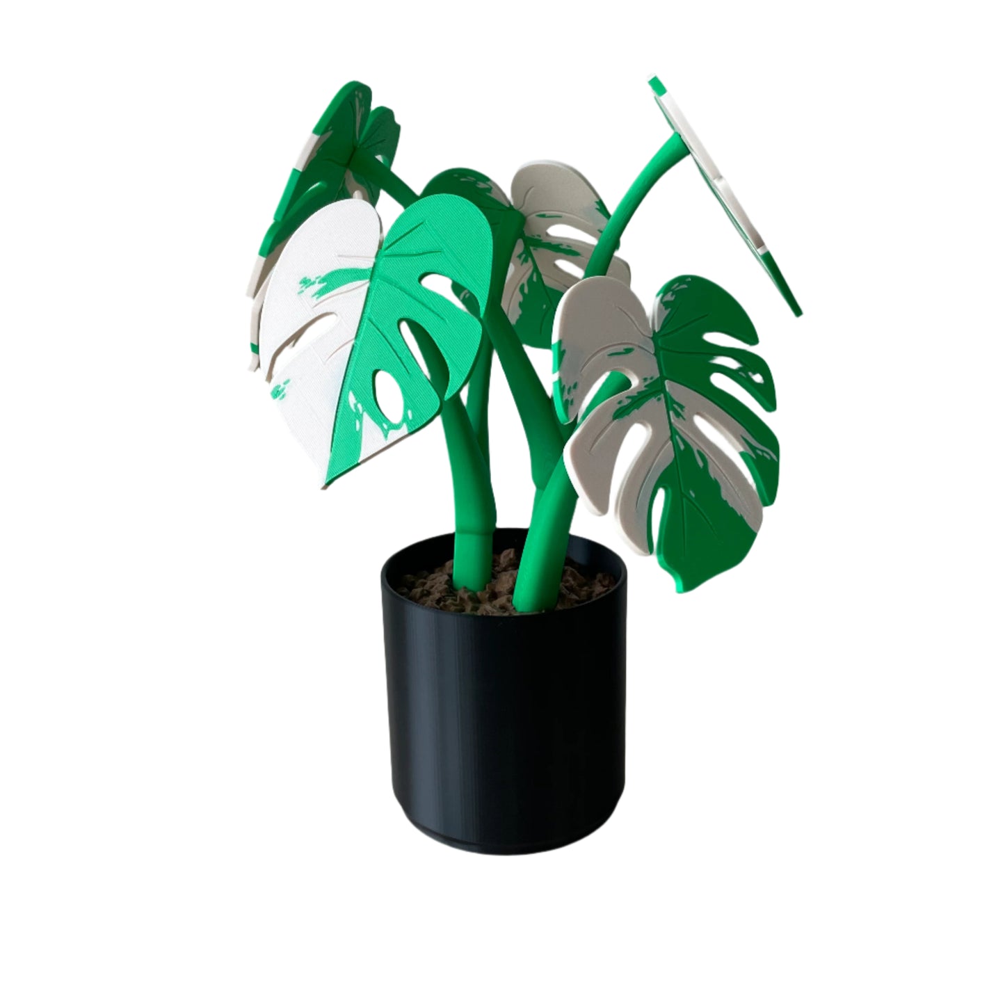 Monstera – Coaster Plant w/ Magnetic Leaves