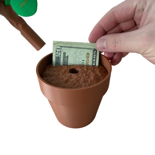 Pilea Plant Food Picker - Dinner Decider Plant with Magnetic Leaves (Chinese Money Plant)