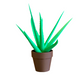 Aloe Vera Pen Plant – Functional Desk Plant with Magnetic Hidden Pens