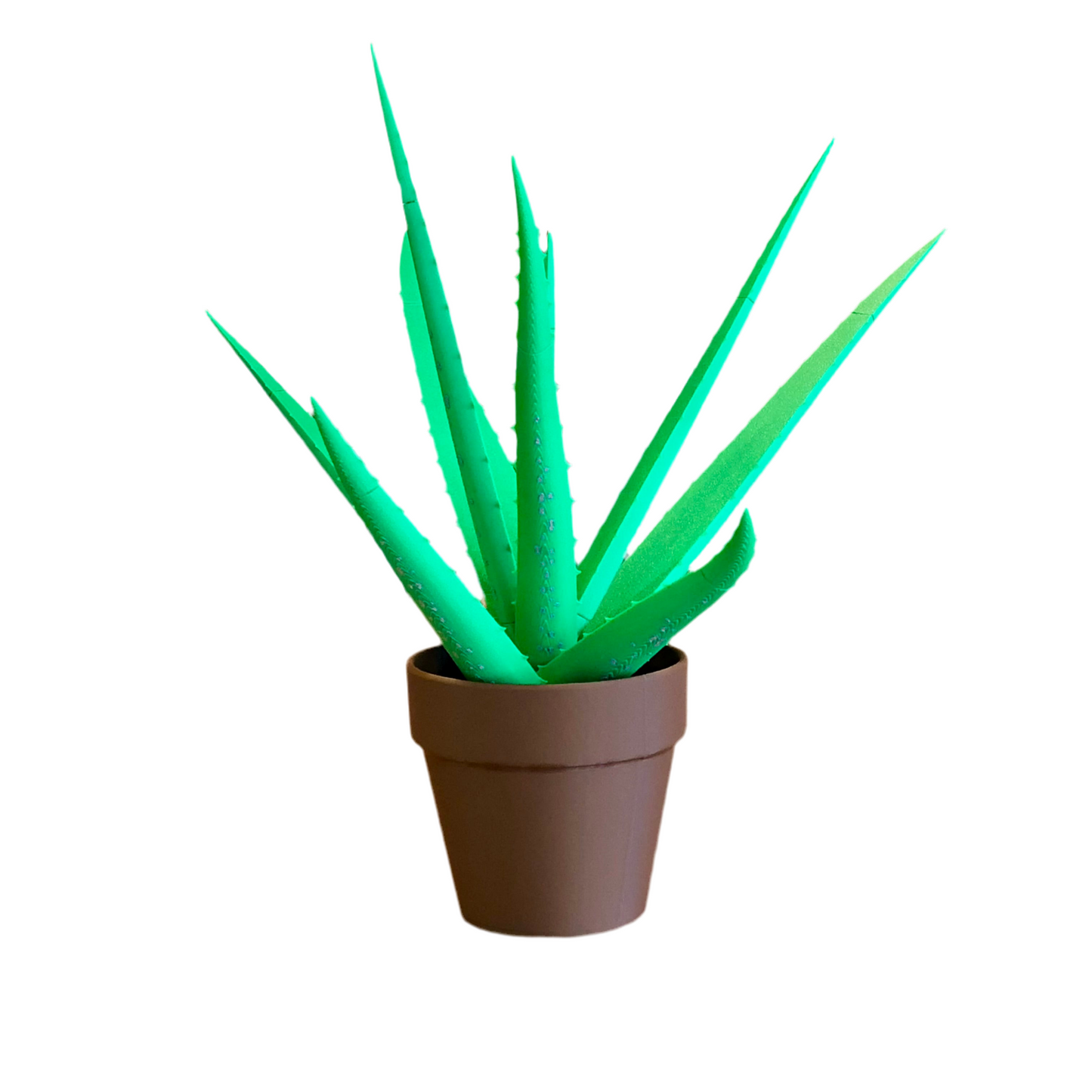 Aloe Vera Pen Plant – Functional Desk Plant with Magnetic Hidden Pens
