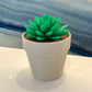 Push Pin Succulent Plant – 3D Printed Desktop Organizer & Gift