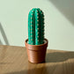 Cactus Chess Set – Roll-up Cactus Themed 3D-Printed Chess Board
