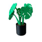 Monstera – Coaster Plant w/ Magnetic Leaves