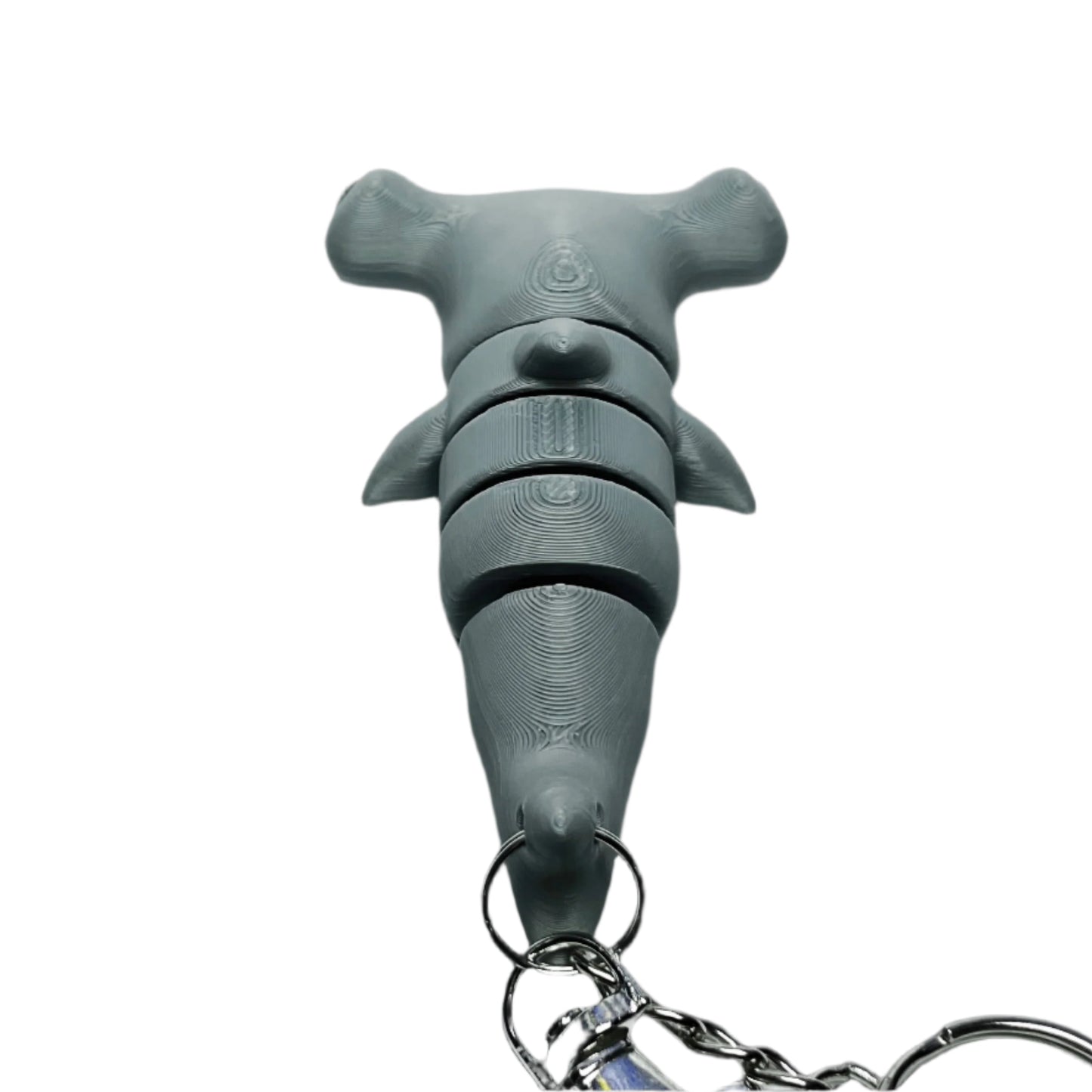 Hammerhead Shark in Gray