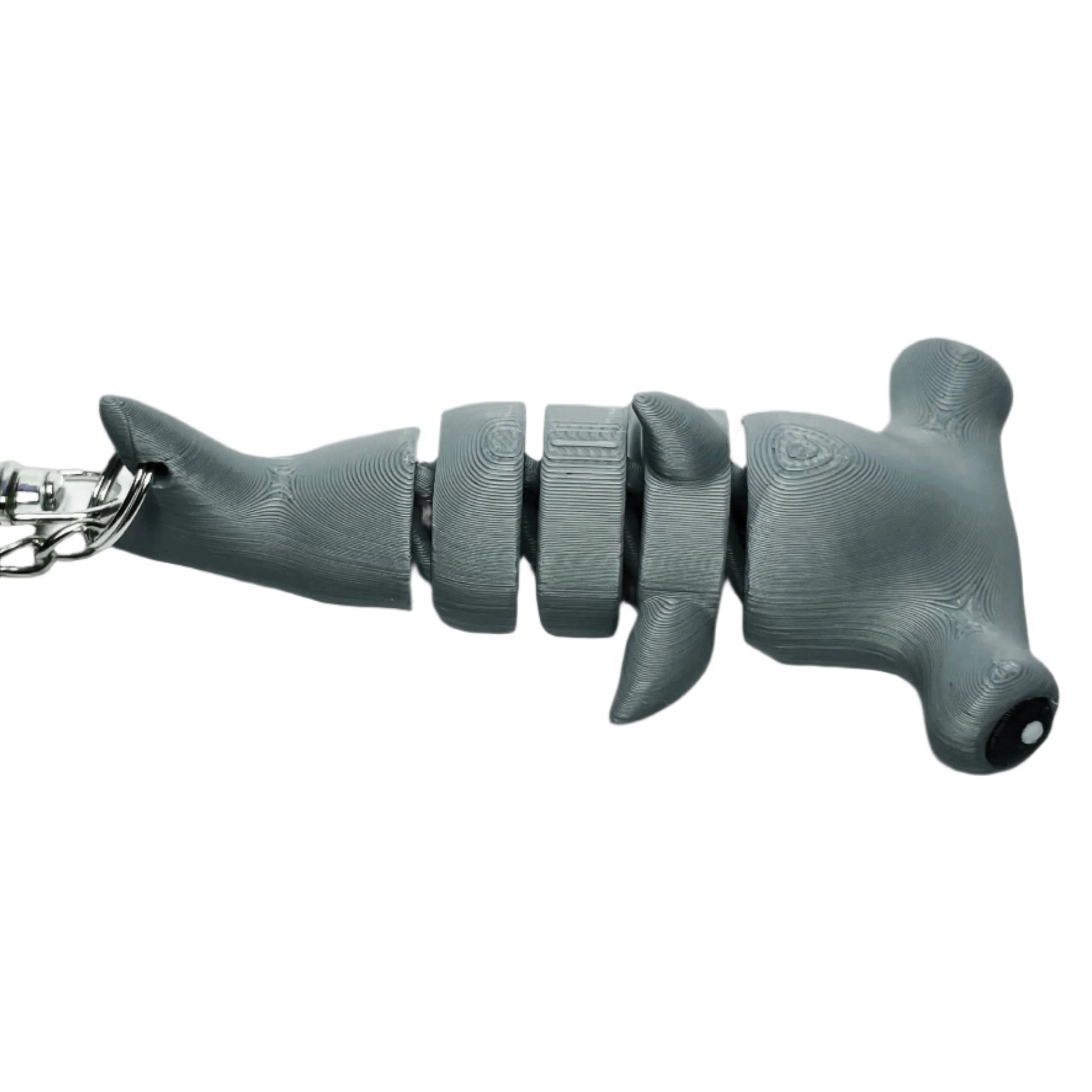 Hammerhead Shark in Gray
